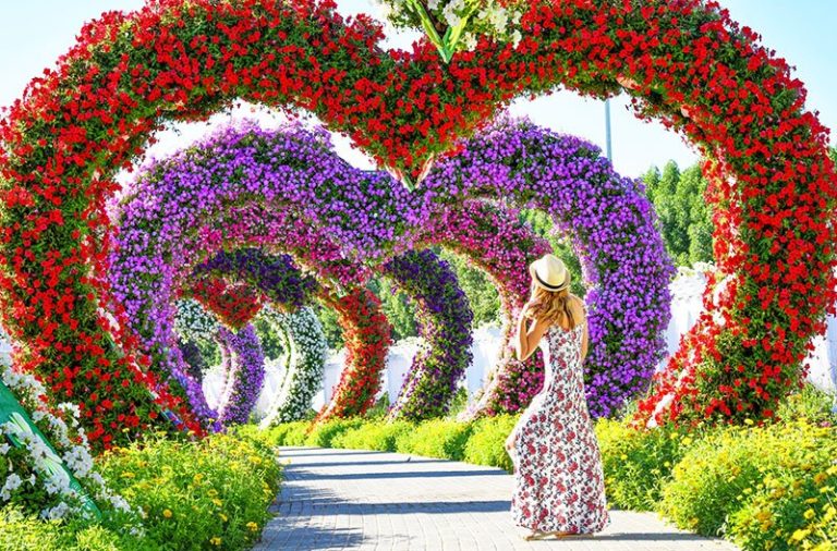  Dubai  Miracle  Garden  nejvt  kvtinov  zahrada na svt 