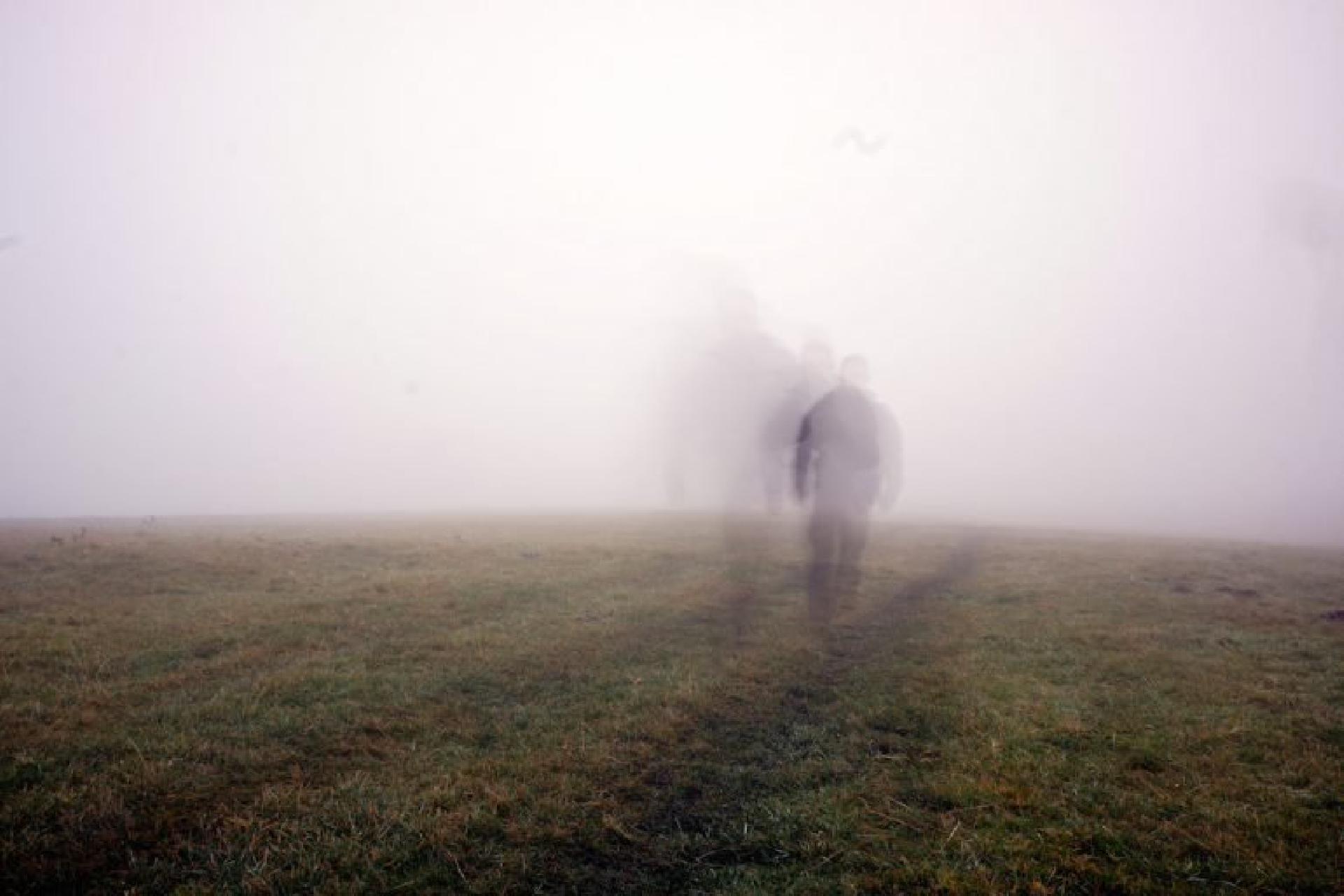 Туман туман кружится голова. Призрак в тумане. Человек в тумане. Растворился в тумане. Тени в тумане.