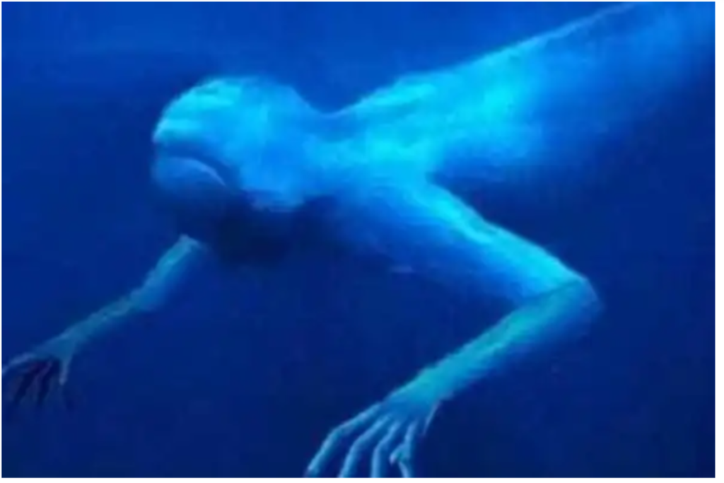 VIDEO: V Japonském moři bylo objeveno humanoidní stvoření