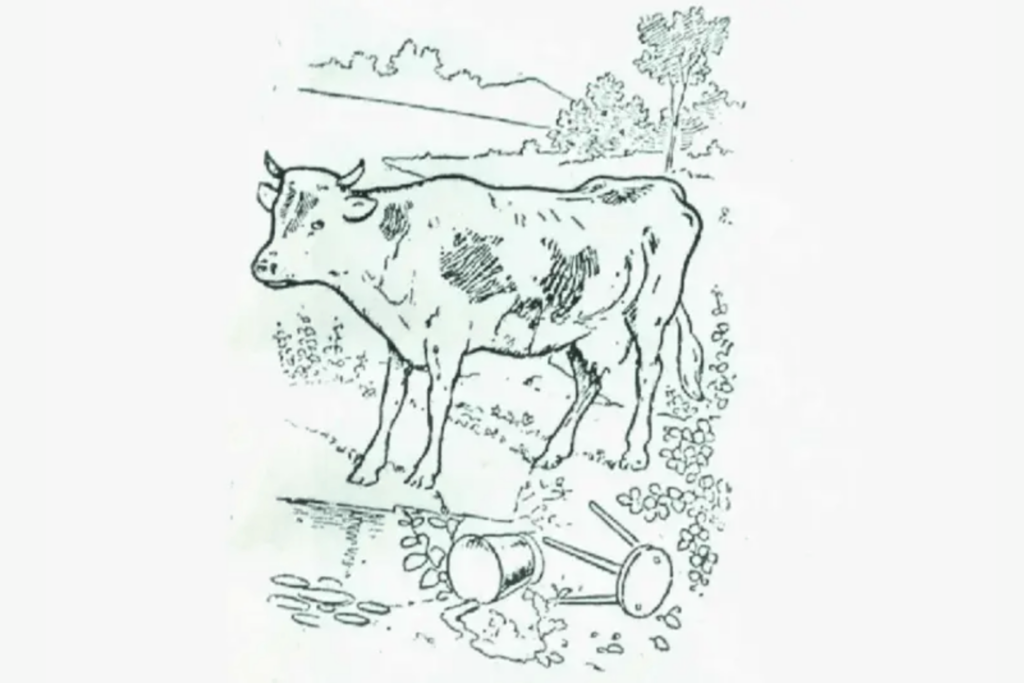 Nová populární optická hádanka! Najdete na obrázku majitele krávy?